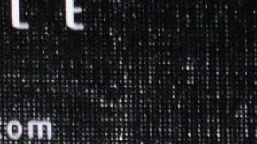 Laisha Wilkins | Mezcalent