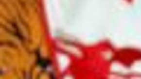 Poncho de Nigris | Mezcalent