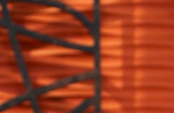 Paty Navidad en "Despierta América" | Mezcalent