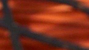 Paty Navidad en "Despierta América" | Mezcalent