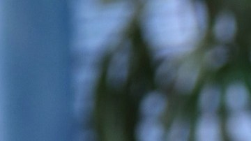 Paty Navidad en Despierta América | Mezcalent