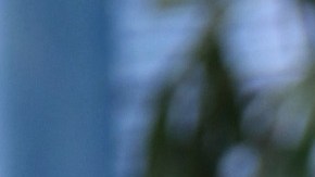 Paty Navidad en Despierta América | Mezcalent