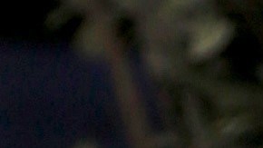 Daniela Navarro despidió a un ser querido | Mezcalent