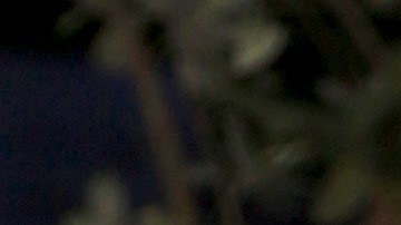 Daniela Navarro despidió a un ser querido | Mezcalent