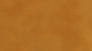 Tanya Charry se casa por segunda vez | Mezcalent