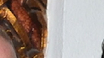 Pati Chapoy junto a su compañero Pedro Sola | Mezcalent