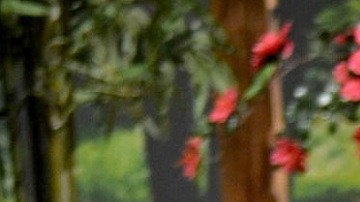 Pati Chapoy en el aniversario 20 de Ventaneando | Mezcalent