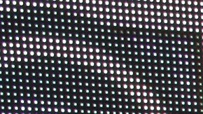 Paty Navidad | Mezcalent