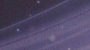 Laura Bozzo en alfombra roja | Mezcalent