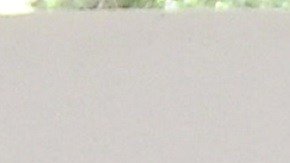 Rebecca de Alba en venta contra el cáncer | Mezcalent