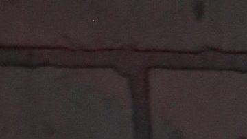 Eugenio Derbez | Mezcalent