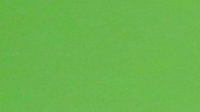 Altair Jarabo ya esta casada | Mezcalent