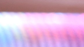 El Puma regresa a México | Mezcalent