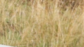 Raúl de Molina | Mezcalent