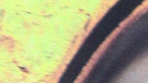 Eugenio Derbez critica a Andrea Legarreta y esto no le gusto a sus seguidores | Mezcalent