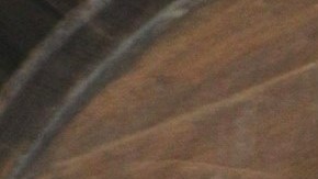 La actriz de 38 años no se verá en la pantalla chica por un tiempo | Mezcalent