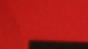 Alicia Machado | Mezcalent