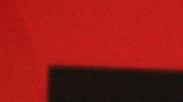 Alicia Machado | Mezcalent