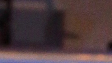 Nacho Mendoza es padre de una hembra | Mezcalent