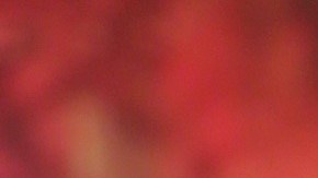 Carolina Sandoval, preocupada por su hija | Mezcalent