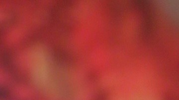 Carolina Sandoval, preocupada por su hija | Mezcalent