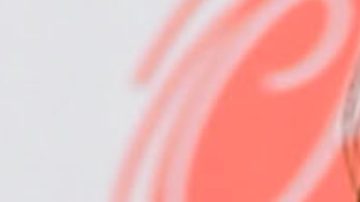 Gaby Spanic y Erika Buenfil | Getty Images - Mezcalent