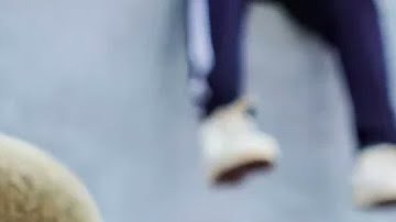 Ovi Crespo fue criticado por pintar de colores a su perro | Cortesía