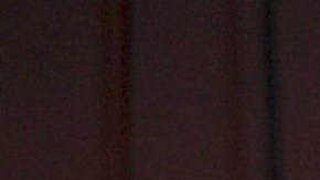 Gaby Spanic le gusta alguien de 'La Casa de los Famosos' | Mezcalent