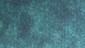 Camila Sodi en la película "El Exorcismo De Carmen Farías" | Mezcalent