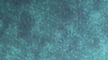 Camila Sodi en la película "El Exorcismo De Carmen Farías" | Mezcalent