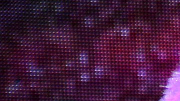 Manelyk González confirmó su soltería | Mezcalent