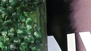 JenCarlos Canela y Danna Hernández finalizaron su relación amorosa | Mezcalent