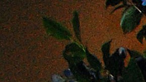 Sergio Mayer está hospitalizado | Mezcalent