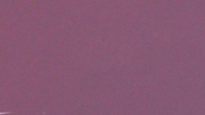 Adamari López se encuentra muy ocupada con su vida profesional | Mezcalent