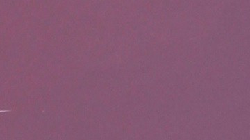 Adamari López se encuentra muy ocupada con su vida profesional | Mezcalent