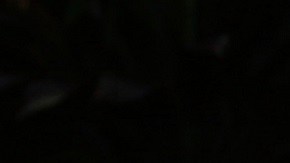 Adamari López y Alaïa en el estreno de Cinderella | Mezcalent