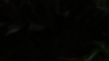 Adamari López y Alaïa en el estreno de Cinderella | Mezcalent