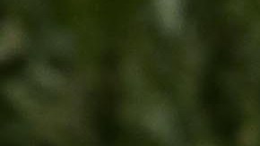 Eiza González en el MET Gala 2021 | Mezcalent