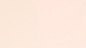 Rashel Díaz tuvo una emergencia familiar | Mezcalent