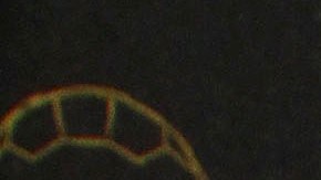 Frida Sofía arremete en contra de su abuelo, otra vez | Mezcalent