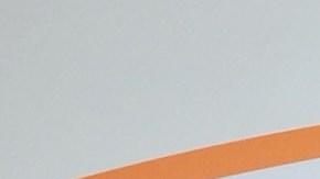 Tania Rincón dio la bienvenida a un nuevo integrante en su familia | Mezcalent