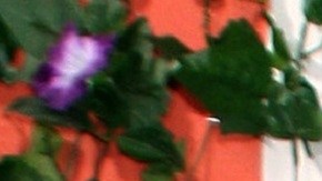 Paul Stanley es uno de los conductores del programa 'Hoy' | Mezcalent