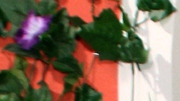 Paul Stanley es uno de los conductores del programa 'Hoy' | Mezcalent