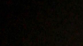 Alicia Machado tuvo un año difícil | Mezcalent