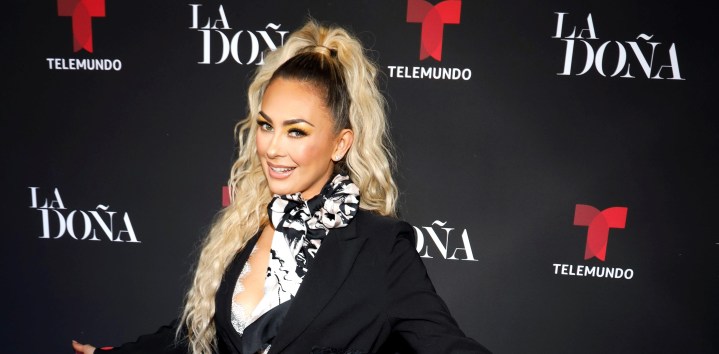 Aracely Arámbula está orgullosa de su hijo Miguel | Mezcalent