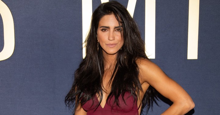 Barbara de Regil en el estreno de la serie de Luis Miguel | Victor Chavez/Getty Images