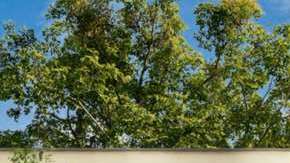 Poster oficial de 'Parientes a la fuerza' | Mezcalent