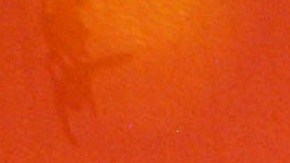 Inés Gómez Mont | Mezcalent