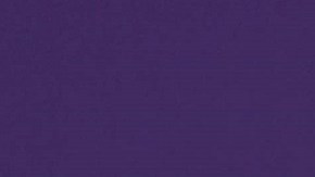 Alicia Machado en Premios Tu Mundo 2017 | Mezcalent