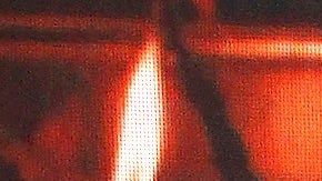 Michel Brown aparecerá en 'Pasión de Gavilanes II' | Mezcalent